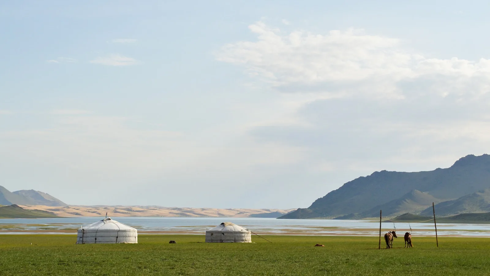 Le vrai sujet : l'électricité dans les steppes et les camps de yourtes