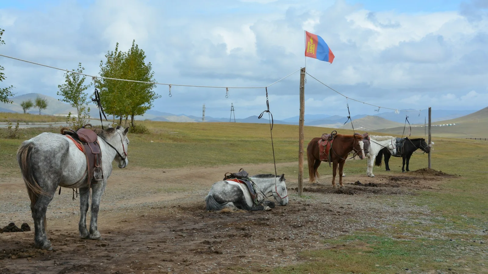 Voyageur à cheval dans la steppe mongole, une activité à assurer explicitement