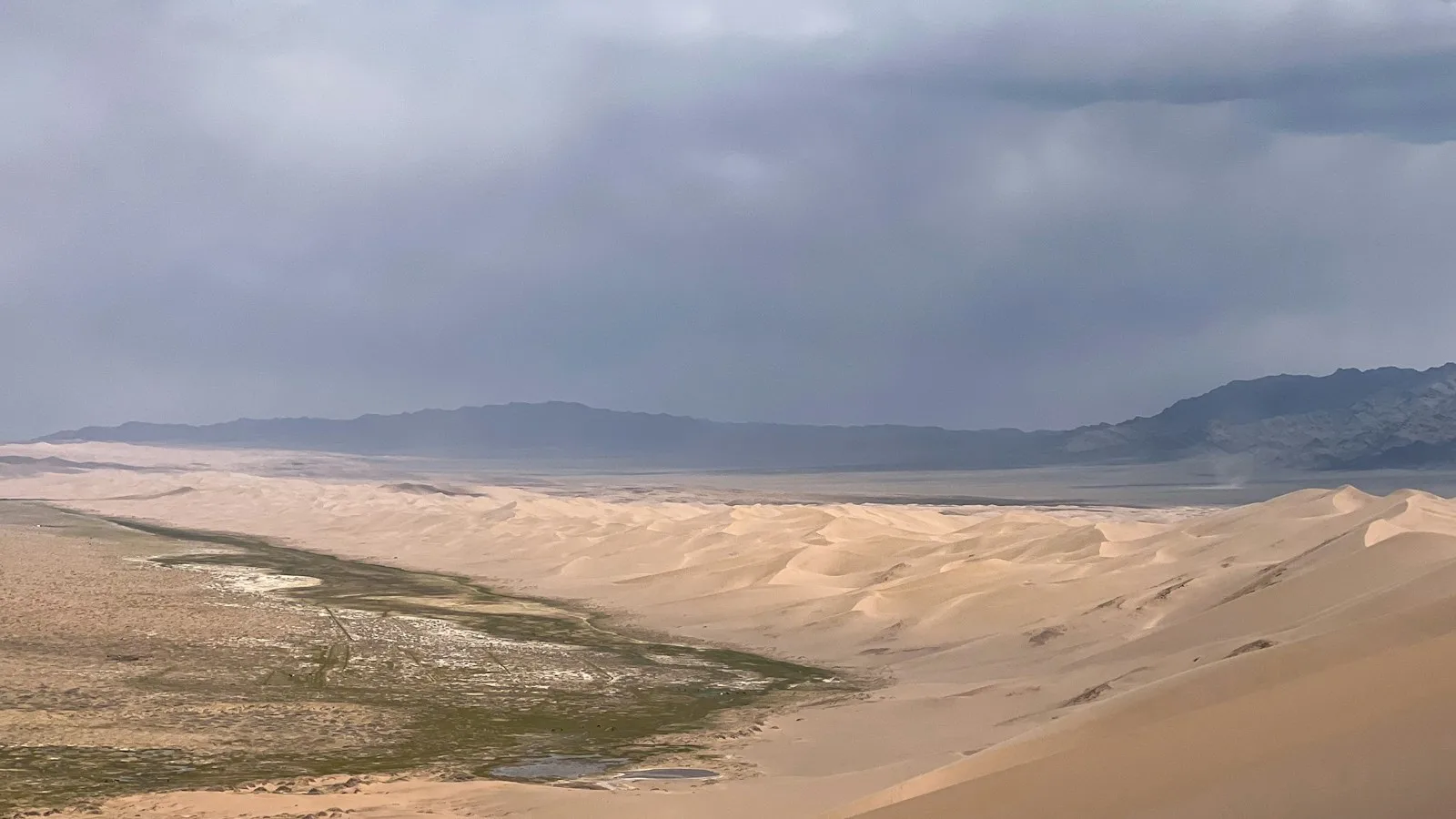 ️ Jours 3 à 5 — Le Gobi en trois étapes