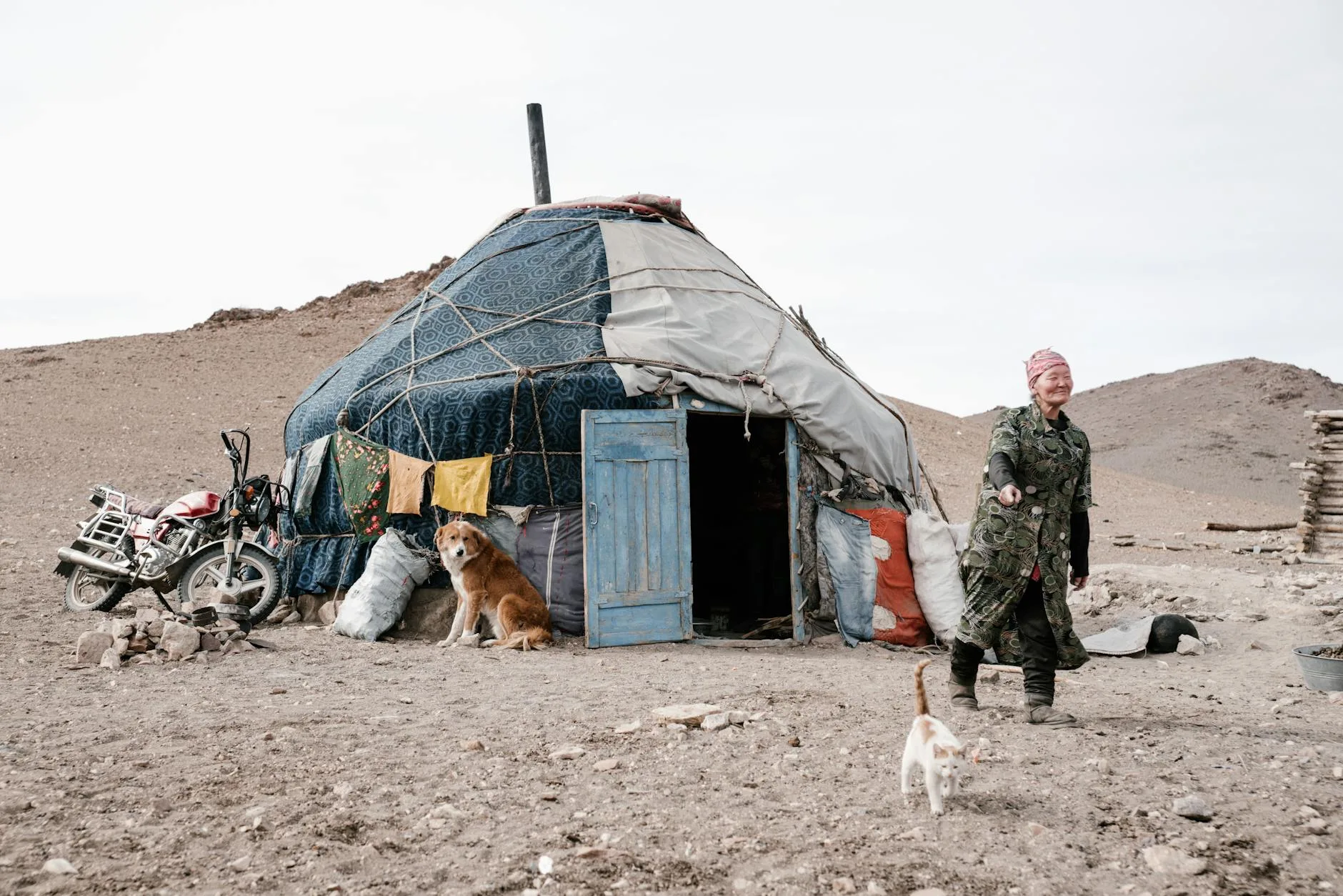 ️ Camps de yourtes dans le désert