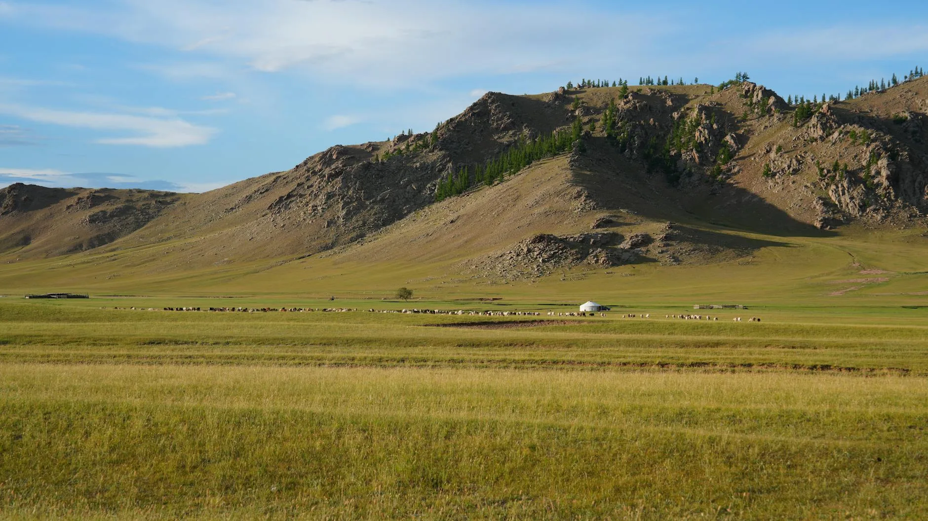 La vallée de l'Orkhon : UNESCO et grands espaces